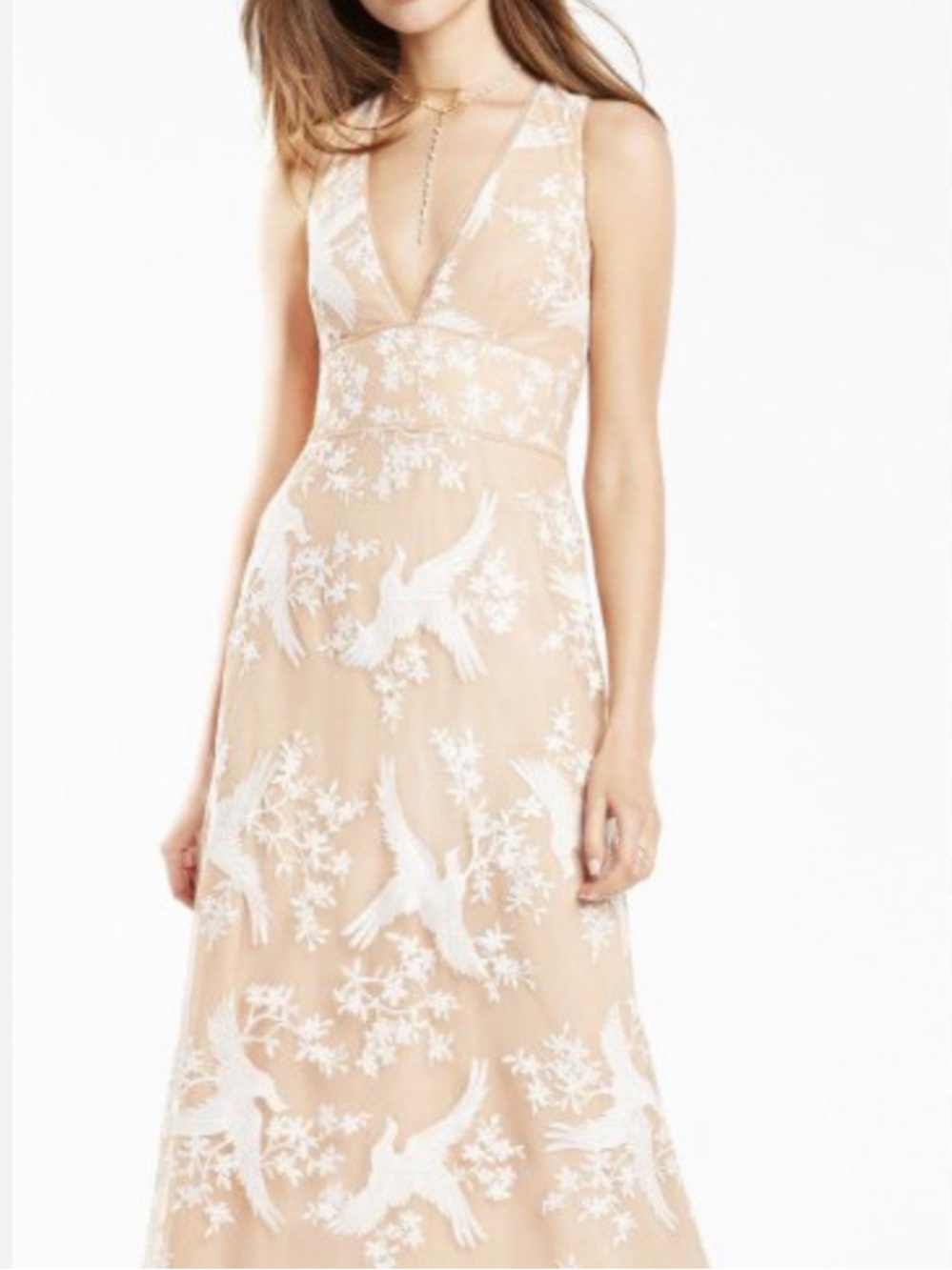 BCBGMAXAZRIA Blush Embroidered Crane Floral Maxi Dress – Boho Romantic